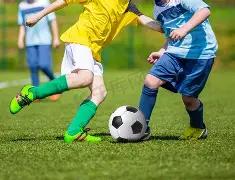 决战绿茵,哈兰德多库,领衔,爱游戏体育娱乐,爱游戏体育娱乐官方,爱游戏体育娱乐登录,爱游戏体育娱乐入口,爱游戏体育娱乐登录