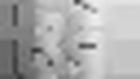 麥科勒姆獲生涯單場最高分50分，普爾貢獻26分7助攻，鵜鶘擊敗奇才斷11連敗